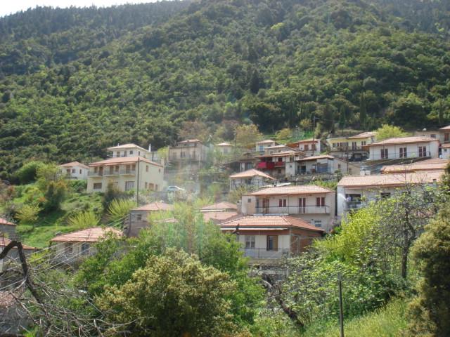 Η γειτονιά « Γοματέικα » Η γειτονιά « Γοματέικα »