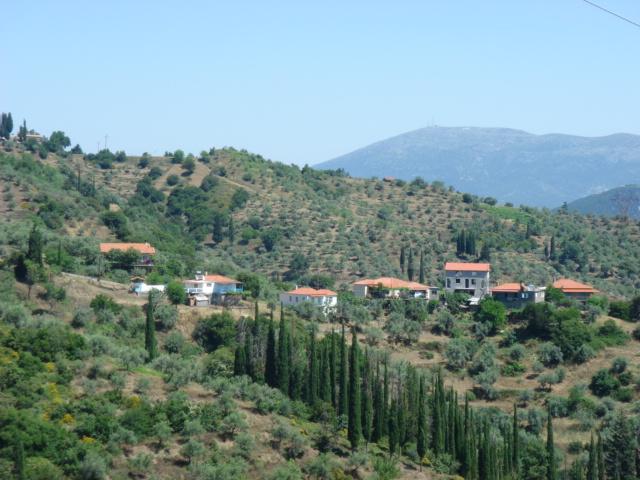 Η γειτονιά « Κακογιαννέικα » Η γειτονιά « Κακογιαννέικα »