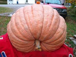 Τεράστιο κολοκύθι Τεράστιο κολοκύθι