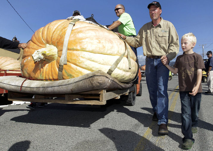 Τεράστιο κολοκύθι Τεράστιο κολοκύθι
