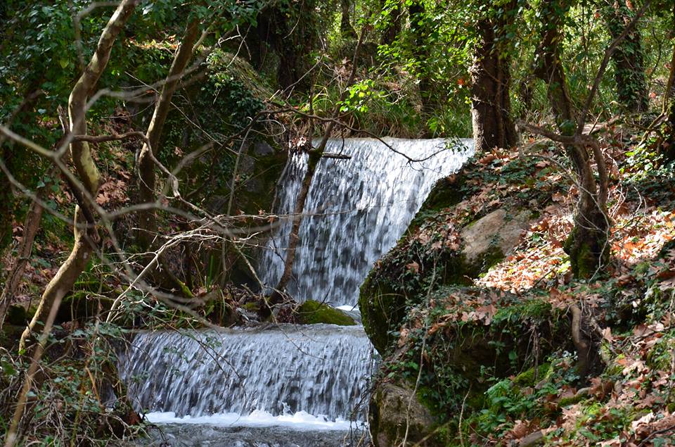 Βεργαδέικα - Το πατάμι Βεργαδέικα - Το πoτάμι